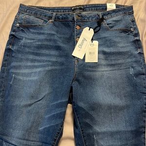 Plus Size High Rise Skinny Jean